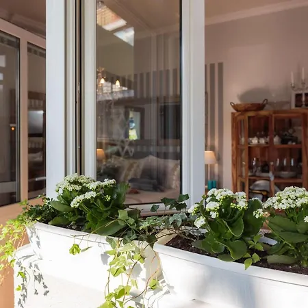 Sea Side Studio With Terrace Apartment *